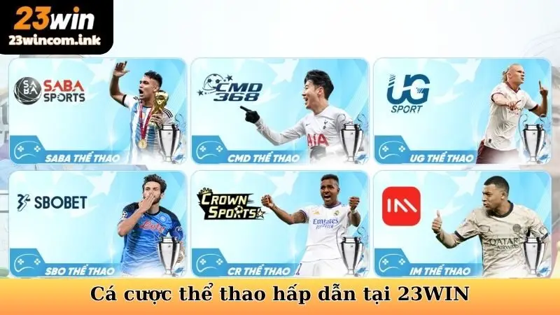 Cá cược thể thao - Sân chơi cho tín đồ thể thao